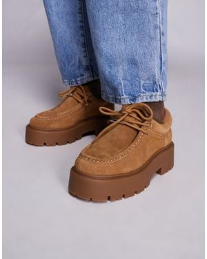 Steve Madden – offsetter – wildleder-loafer zum schnüren - Blau