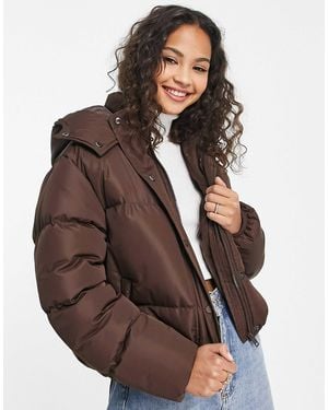 Brave Soul Bunny Hooded Puffer Jacket - Brown