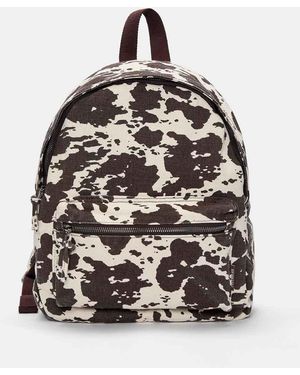 Pull&Bear Rugzak Van Canvas Met Koeienprint - Zwart