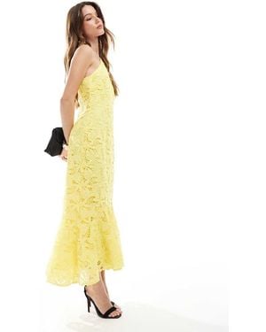 Maya Halter Neck Lace Midi Dress - Metallic