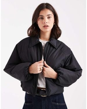 Brave Soul Short Padded Bomber Jacket With Collar - Black