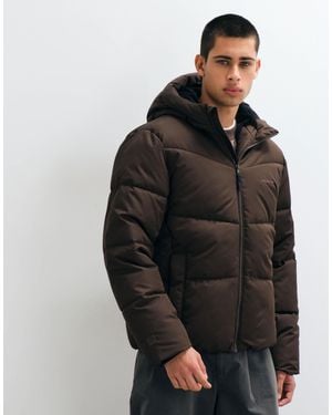 Hollister Heavyweight Puffer Jacket With Hood - Black