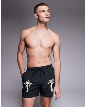 South Beach Palm Tree Swimshort - Grey