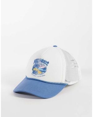 Hollister Trucker Hat - Blue