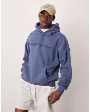 Abercrombie & Fitch Logo Hoodie - Blue