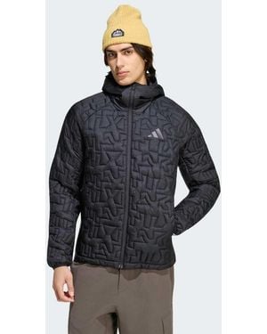 adidas Originals Terrex Xperior Primaloft Loose Fill Insulated Hooded Jacket - Blue