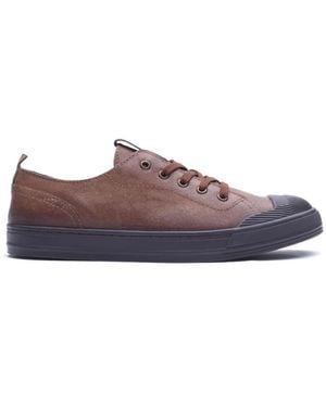 Base London Volt Lace Up Shoe - Brown