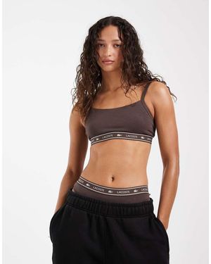 Lacoste Bralette Met Logo - Zwart