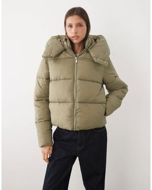 Threadbare Kurze pufferjacke mit oversize-kapuze - Natur