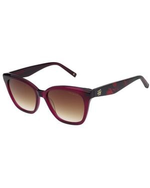 Ted Baker Lina Sunglasses - Brown