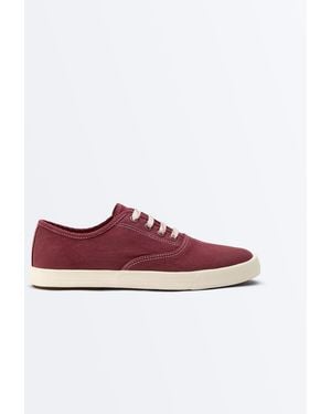 Oysho Canvas Trainers - Purple