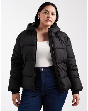 Pieces Plus Pieces Curve Padded Coat With Hood - Blue