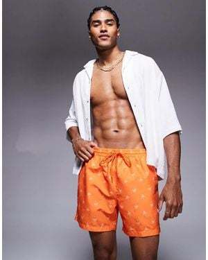 South Beach Palm Tree Print Swimshort - Orange