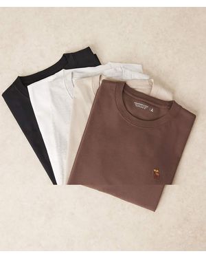 Abercrombie & Fitch Icon Logo 5 Pack T-Shirts - Brown
