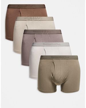 Abercrombie & Fitch 5 Pack Tonal Boxer Briefs - Natural