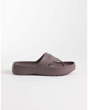 Calvin Klein Jeans One Piece Thong Flip Flop - Brown