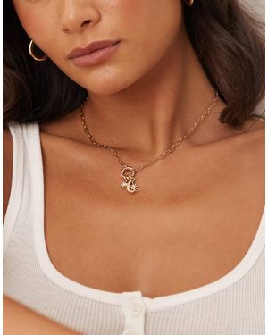 ASOS Collana Dorata Con Charm Intercambiabili - Marrone