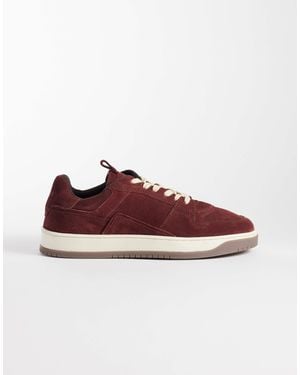 ASOS Paneled Lace Up Sneakers With Off White Detailing - Purple