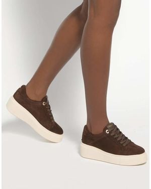 Dune Evienne Trainers - Brown