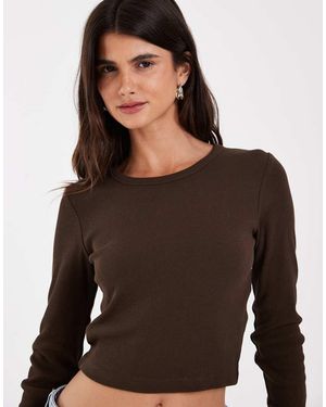 JJXX Feline Ribbed Crop Top - Brown