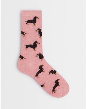 Accessorize Calcetines Rosas Con Diseño De Perros Salchicha