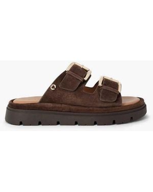 Carvela Kurt Geiger Pavilion Flat Sandals - Brown