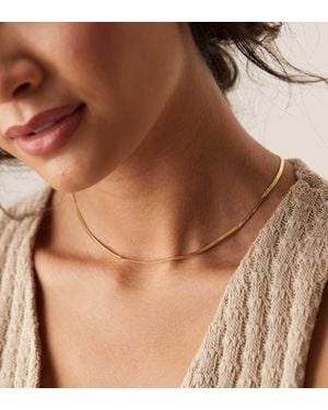 Orelia Flat Snake Chain Necklace - Brown