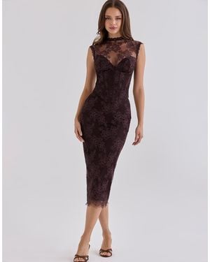 House Of Cb Serida Chocolate Lace Corset Top - Brown
