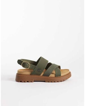 Timberland Backstrap - Verde