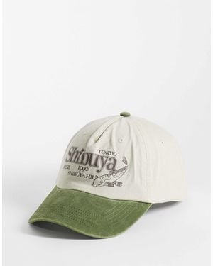 ASOS Cap mit grafikprint und kontrastschirm - Grün