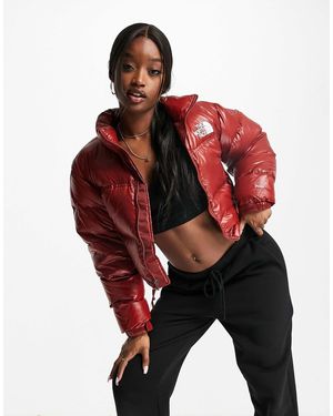 The North Face Nuptse Cropped Jacket - Red