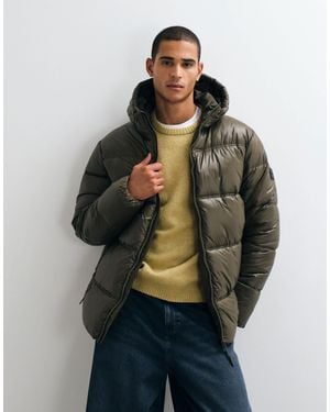 Threadbare Wattierte pufferjacke mit kapuze - Grün