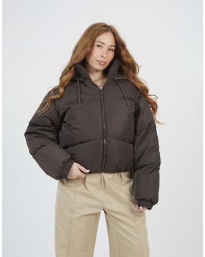 Brave Soul Oversized Hooded Short Puffer Jacket - Brown