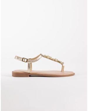 New Look Thong Shellfish Detail Flat Sandal - Metallic