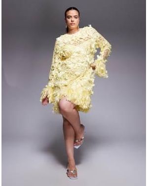 ASOS Curve - robe courte en broderie anglaise avec fleurs en relief et ourlet à plumes synthétiques - babeurre - Gris