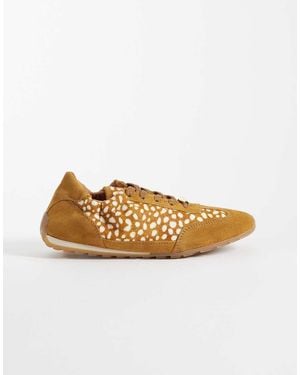 Steve Madden Bobby Trainers - Brown