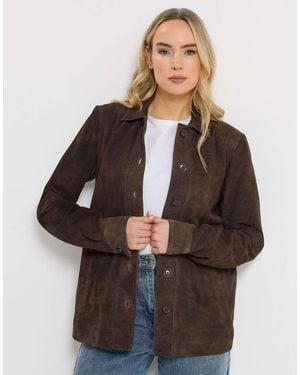 Long Tall Sally Premium Suede Jacket - Brown