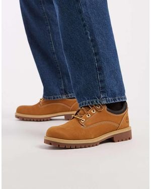Timberland Lace-Up Shoe - Blue