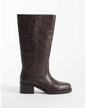 Bronx Ky-Ley Botas De Montar Hasta La Rodilla Con Relieve De Serpiente En Coffee Bean-Marrón