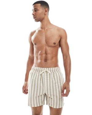 Threadbare Gestreepte Zwemshort - Wit