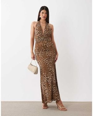 Bardot Elera Mesh Plunge Halter Neck Maxi Dress - Brown