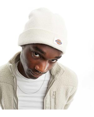 Dickies Gibsland - Bianco