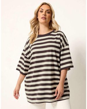 Yours Clothing Boxy Stripe T-Shirt - Brown