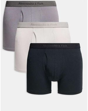 Abercrombie & Fitch 3 Pack Tonal Boxer Briefs - Blue