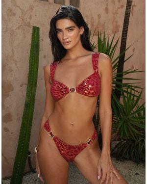 Moda Minx X Zoe Servini - Bruin
