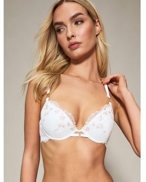 KBX Hallie Padded Plunge Bra - Brown