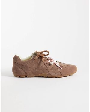Steve Madden Asiel Sneakers - Brown
