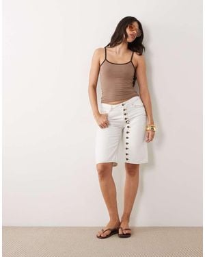 Lioness Colección Exclusiva - Neutro