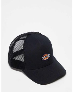 Dickies Hanston - Blu