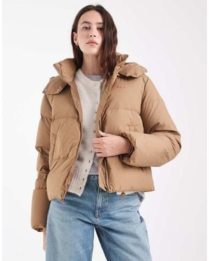 Lacoste Cropped Hooded Down Puffer Jacket - Blue